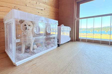 わんちゃんに至れり尽くせり!和歌山・太地町のグラン わんちゃんに至れり尽くせり!和歌山・太地町のグラン