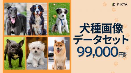 PIXTA、機械学習用「犬種画像データセット」販売開始 PIXTA、機械学習用「犬種画像データセット」販売開始