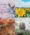 【東京都町田市】まちだの秋フォトキャンペーン2025を 【東京都町田市】まちだの秋フォトキャンペーン2025を