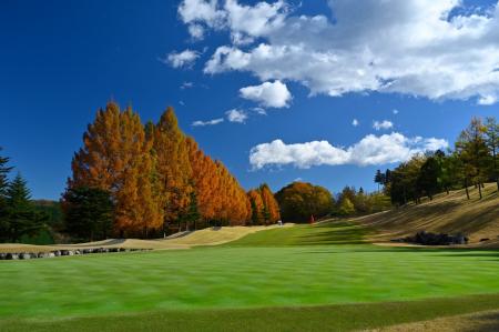 リブマックス、初のゴルフ場運営に参入。『LiVEMAXゴ リブマックス、初のゴルフ場運営に参入。『LiVEMAXゴ