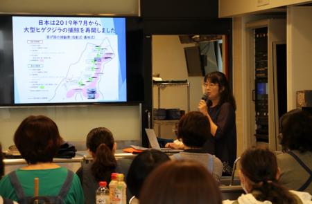 鯨類研究の最前線を体感!秋のイベント開催のお知らせ 鯨類研究の最前線を体感!秋のイベント開催のお知らせ