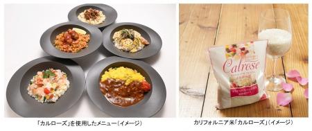 1週間、日替わりで楽しむバランスワンボウルで新しい 1週間、日替わりで楽しむバランスワンボウルで新しい