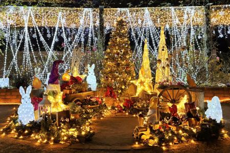 「練馬区立 四季の香ローズガーデン」ガーデンイルミ 「練馬区立 四季の香ローズガーデン」ガーデンイルミ