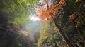 三重・赤目四十八滝で紅葉が見頃へ!夜は「三重赤目  三重・赤目四十八滝で紅葉が見頃へ!夜は「三重赤目