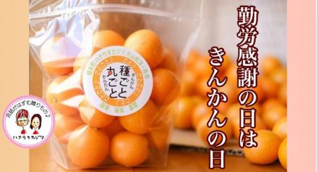 「勤労感謝の日」は、きんかんの日。働く人に感謝を伝 「勤労感謝の日」は、きんかんの日。働く人に感謝を伝