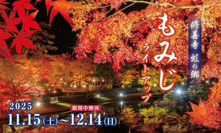 【伊豆の紅葉】修善寺虹の郷、約1000本のもみじが光り 【伊豆の紅葉】修善寺虹の郷、約1000本のもみじが光り