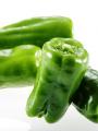 宮崎県産ピーマン「グリーンザウルス」と【推しの子】 宮崎県産ピーマン「グリーンザウルス」と【推しの子】