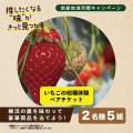 推したくなる”味”がきっと見つかる「横浜地産地消月間 推したくなる”味”がきっと見つかる「横浜地産地消月間