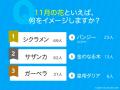 11月といえば?行事やイベント・食べ物などの風物詩を 11月といえば?行事やイベント・食べ物などの風物詩を