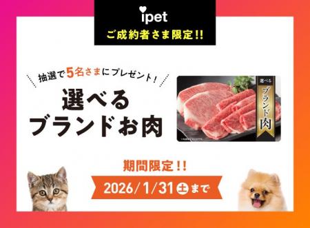 ブランドお肉が当たる!ペット保険『アイペット損保』 ブランドお肉が当たる!ペット保険『アイペット損保』
