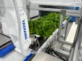 視触覚ハンドリングを駆使し、野菜収穫ロボットを植物 視触覚ハンドリングを駆使し、野菜収穫ロボットを植物