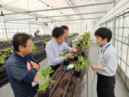 スマート農業分野の灌水制御技術をデンソーと共utf-8 スマート農業分野の灌水制御技術をデンソーと共utf-8