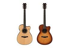 「TransAcoustic(TM)」技術搭載ギターの第2世代モデル 「TransAcoustic(TM)」技術搭載ギターの第2世代モデル