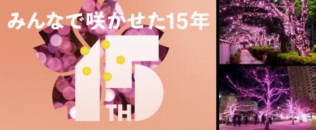 今年で開催15周年!地域で灯す“桜色の光” 使用済み食 今年で開催15周年!地域で灯す“桜色の光” 使用済み食