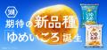 【男爵薯の美味しさを引き継ぐ新品種「ゆめいころ」使 【男爵薯の美味しさを引き継ぐ新品種「ゆめいころ」使