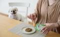 〈愛犬に手づくりごはんの愛を〉西鉄社員が企画&獣医 〈愛犬に手づくりごはんの愛を〉西鉄社員が企画&獣医