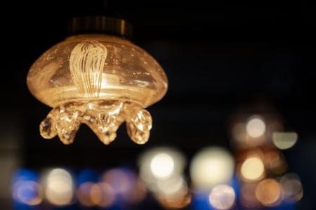 【京都水族館】京都水族館の冬の風物詩でほっこutf-8 【京都水族館】京都水族館の冬の風物詩でほっこutf-8