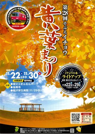 日本有数の銀杏産地 祖父江町で黄金色の秋を楽しむ「 日本有数の銀杏産地 祖父江町で黄金色の秋を楽しむ「