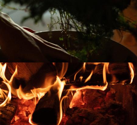 【SHIRO】レストランを開き、森の恵みと香りを味わう 【SHIRO】レストランを開き、森の恵みと香りを味わう