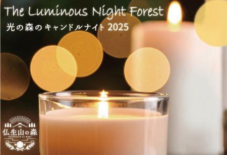 仏生山の森が幻想的に灯る。冬の夜を彩る『光の森のキ 仏生山の森が幻想的に灯る。冬の夜を彩る『光の森のキ