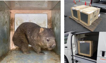 オーストラリアから大阪府池田市立五月山動物園utf-8 オーストラリアから大阪府池田市立五月山動物園utf-8