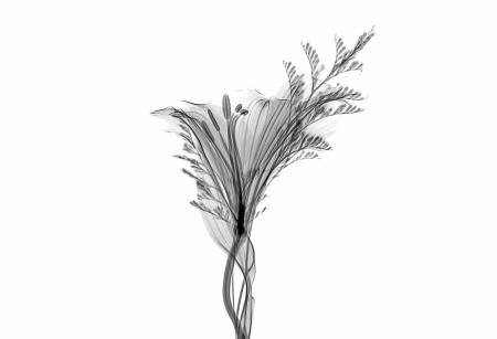 日差しが強くなる季節の紫外線対策とは?一年中ケアし 日差しが強くなる季節の紫外線対策とは?一年中ケアし