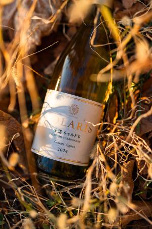 マンズワイン「ソラリス 小諸 シャルドネ ヴィエイユ マンズワイン「ソラリス 小諸 シャルドネ ヴィエイユ