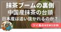「日本にない視点が刺さる」ツイ鳥note、180日連utf-8 「日本にない視点が刺さる」ツイ鳥note、180日連utf-8