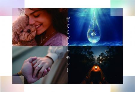 髪の毛1本から「命の輝き」をダイヤモンドに 髪の毛1本から「命の輝き」をダイヤモンドに