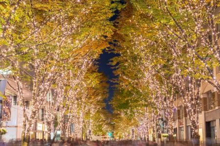 【JAPAN 47 GO厳選】紅葉にイルミネーション♪「JAPAN 【JAPAN 47 GO厳選】紅葉にイルミネーション♪「JAPAN