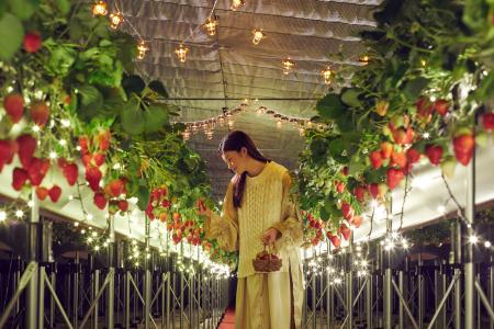 【リゾナーレ熱海】イルミネーション輝くハウスを貸し 【リゾナーレ熱海】イルミネーション輝くハウスを貸し