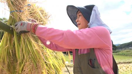 【BS日テレ】女優・財前直見 手作業での稲刈り&絶 【BS日テレ】女優・財前直見 手作業での稲刈り&絶