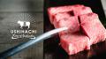 年に一度の『いい肉の日』はUSHIHACHI(ウシハチ)へ 年に一度の『いい肉の日』はUSHIHACHI(ウシハチ)へ