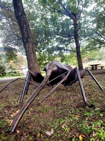 【八王子芸術祭2025】ある惑星の住人 (アリ、ゾウム 【八王子芸術祭2025】ある惑星の住人 (アリ、ゾウム