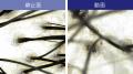 【新製品】毛髪・毛穴・お肌の変化をスマホで確認!毎 【新製品】毛髪・毛穴・お肌の変化をスマホで確認!毎