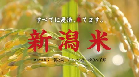 新潟米の新作PR動画を明日、全編公開します 新潟米の新作PR動画を明日、全編公開します