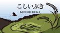 新潟米の新作PR動画を明日、全編公開します 新潟米の新作PR動画を明日、全編公開します