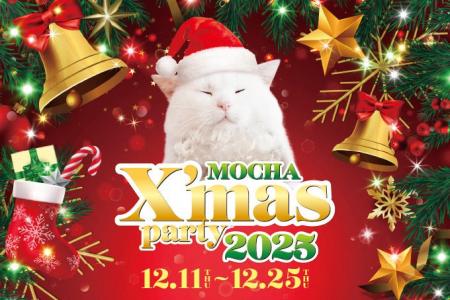 今年もMOCHAのにゃんずと過ごす、心ときめくクリスマ 今年もMOCHAのにゃんずと過ごす、心ときめくクリスマ