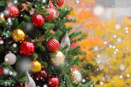 まだ間に合う!「クリスマス旅におすすめの宿」特集公 まだ間に合う!「クリスマス旅におすすめの宿」特集公