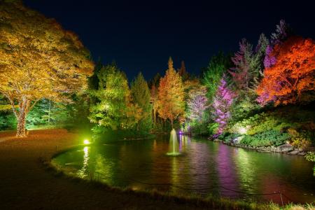 【仙台ロイヤルパークホテル】ジャズナイト×ガーデン 【仙台ロイヤルパークホテル】ジャズナイト×ガーデン