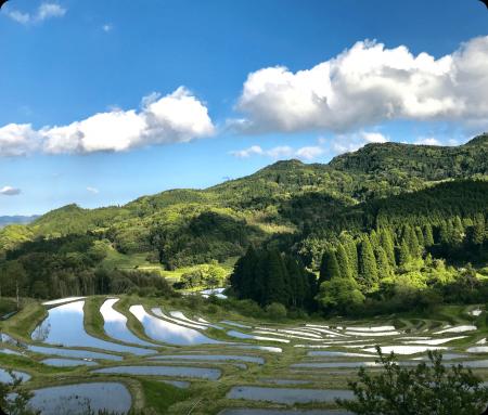都心から約90分の“日本の原風景”千葉・鴨川の里utf-8 都心から約90分の“日本の原風景”千葉・鴨川の里utf-8
