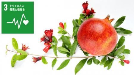 ザクロ葉・枝由来成分「PGG」がトランスサイレチン由 ザクロ葉・枝由来成分「PGG」がトランスサイレチン由