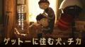 【SAMANSA】11月第4週の新作ショート映画ラインナップ 【SAMANSA】11月第4週の新作ショート映画ラインナップ