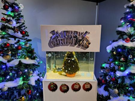 暮らしに寄り添う水族館 スマートアクアリウム静岡 暮らしに寄り添う水族館 スマートアクアリウム静岡