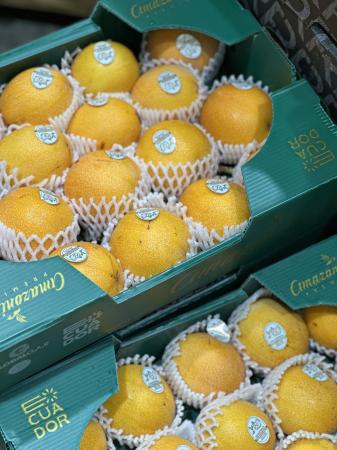 商物一体のサービスでシンガポールでのコールドutf-8 商物一体のサービスでシンガポールでのコールドutf-8