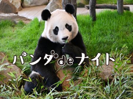 想いをつなぐ、“パンダの夜” 再び。『パンダdeナイトI 想いをつなぐ、“パンダの夜” 再び。『パンダdeナイトI