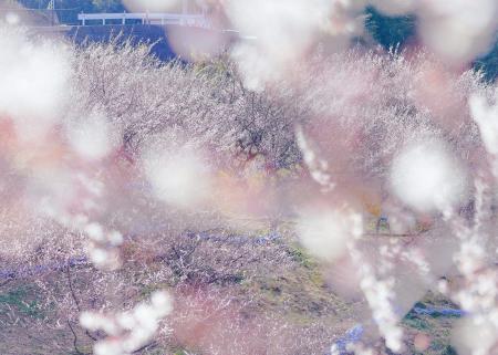 【2026年も開催!】和歌山Well-being Month 【2026年も開催!】和歌山Well-being Month