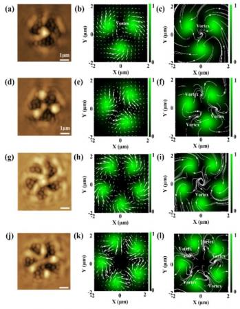 多数の光の渦を物質に転写して可視化することに成功! 多数の光の渦を物質に転写して可視化することに成功!