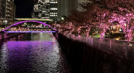 「目黒川みんなのイルミネーション2025」へ食品用紙カ 「目黒川みんなのイルミネーション2025」へ食品用紙カ