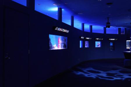 閉館からの再始動。“シン・マリホ水族館”が広島に新風 閉館からの再始動。“シン・マリホ水族館”が広島に新風